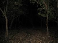 Chicago Ghost Hunters Group investigates Robinson Woods (200).JPG